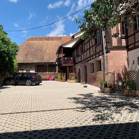 Appartamento Doux Refuge Avec Terrasse Parking Gratuit Beblenheim Esterno foto