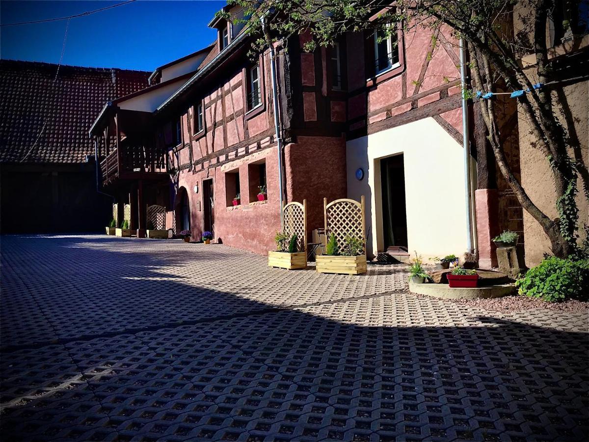 Appartamento Doux Refuge Avec Terrasse Parking Gratuit Beblenheim Esterno foto