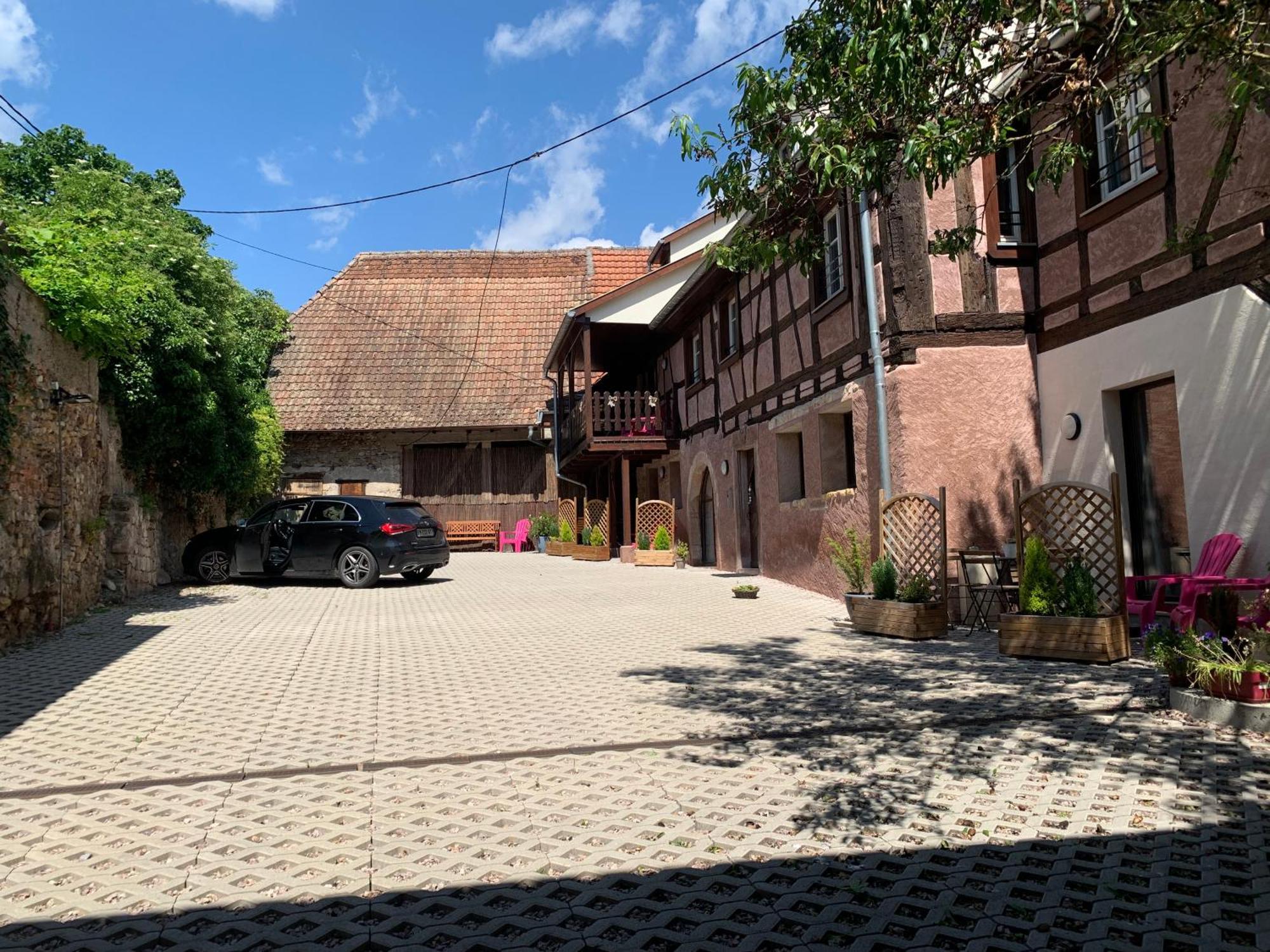 Appartamento Doux Refuge Avec Terrasse Parking Gratuit Beblenheim Esterno foto